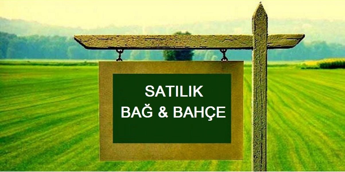 KAYSERİ DEVELİ ZİLE MAHALLESİ KÖYÖNÜ MEVKİİNDE SATILIK BAHÇE